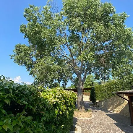 Paola Villa San Leonardo