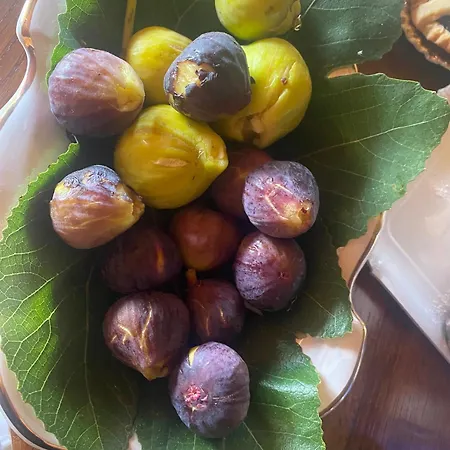 Nocleg ze śniadaniem Paola 4*