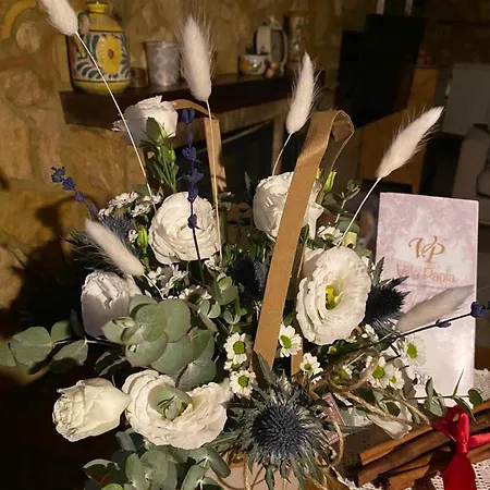 Nocleg ze śniadaniem Paola 4*