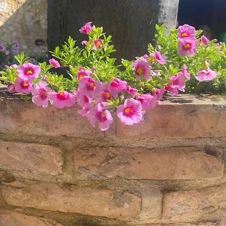 Paola Villa San Leonardo