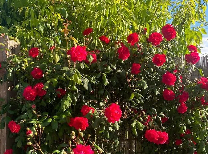 ベッド・アンド・ブレックファスト Paola Villa San Leonardo