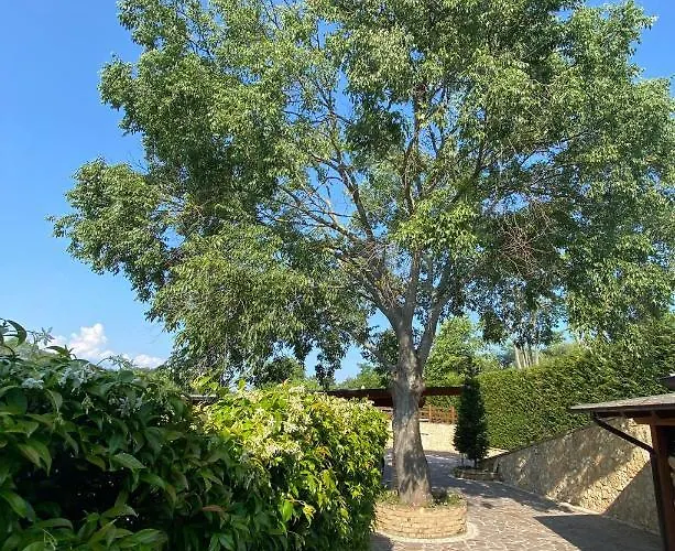 Paola Villa San Leonardo