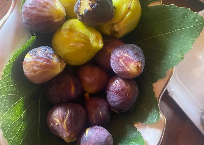 ベッド・アンド・ブレックファスト Paola 4*