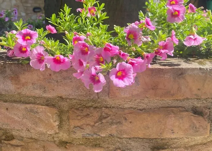 Paola Villa San Leonardo